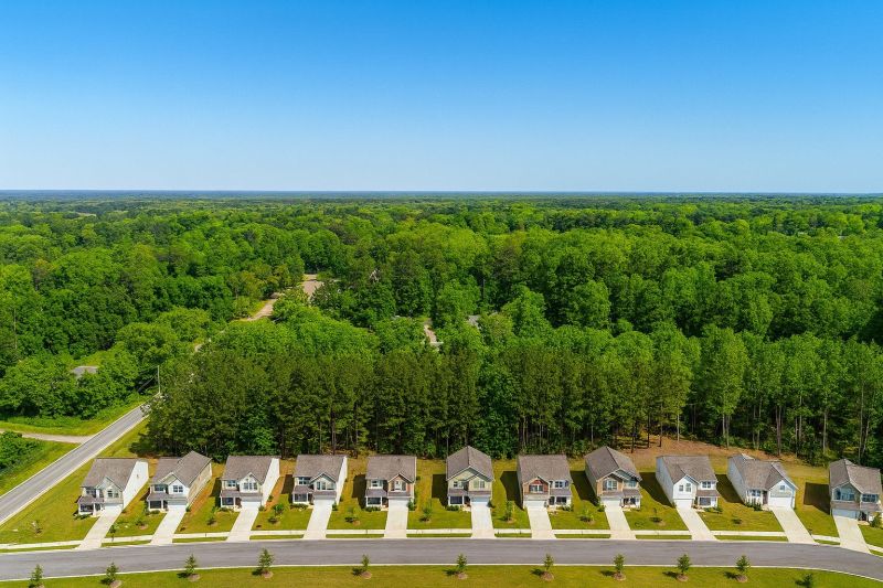 Apple Tree Removal in Mableton, GA