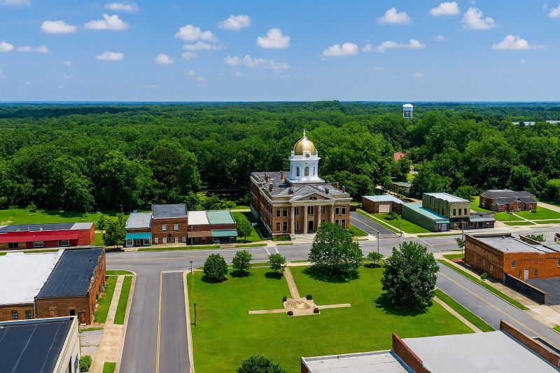 Tree Removal Service in Jasper, GA