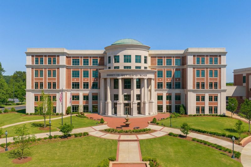 Tree Removal Service in Forsyth County, GA