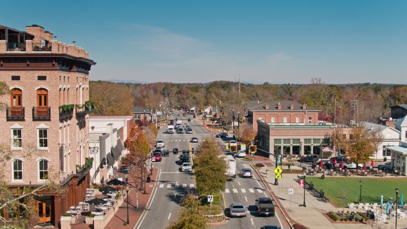 Tree Removal Service in Alpharetta, GA
