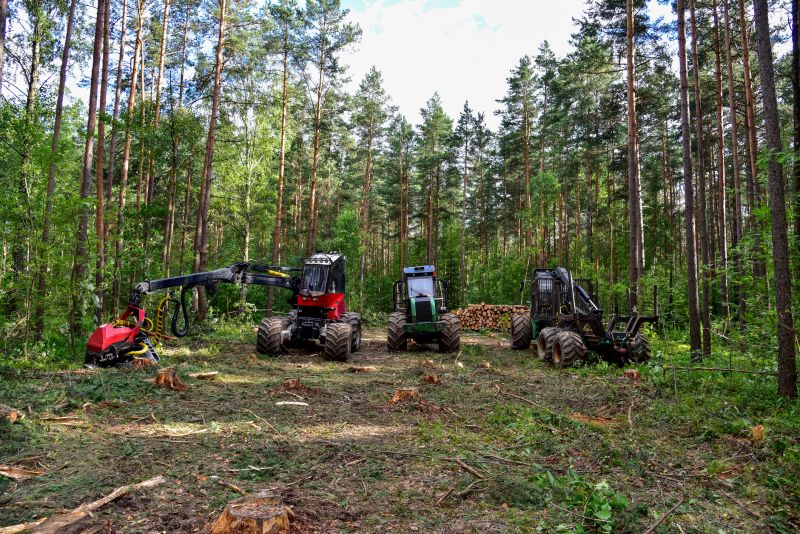 Fallen Tree Removal Equipment
