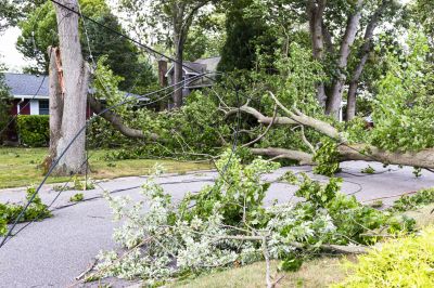 Property Damage Prevention