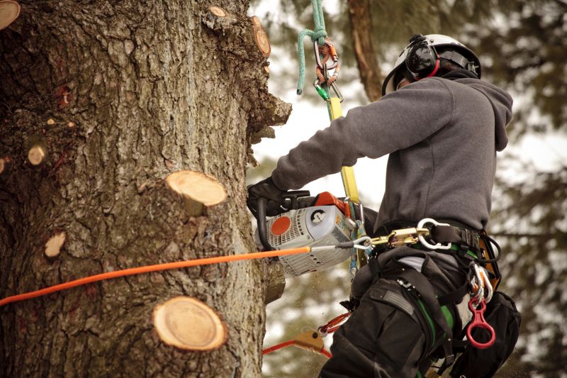 Tree Cutting Near Structures