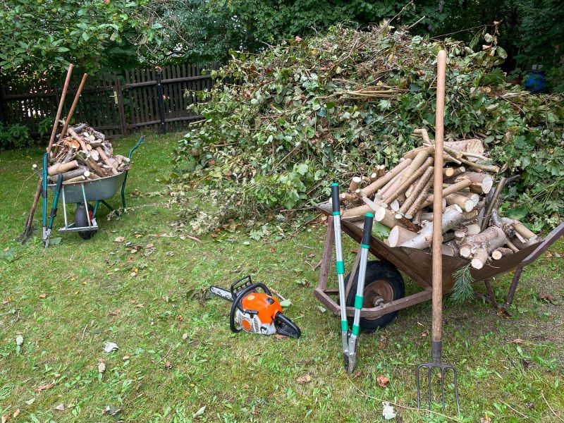 Completed Tree Removal with Clean Site
