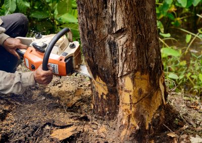 Landscaping Firms